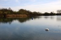 Bray lake